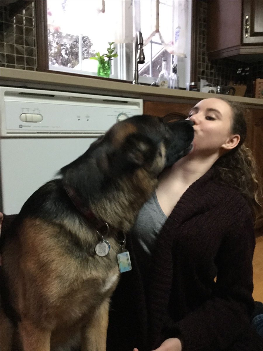 HavenCallacwse's tweet photo. Dog mom 🤭❤️😍

https://t.co/69BgVMIJvm https://t.co/MyYlS0FANv