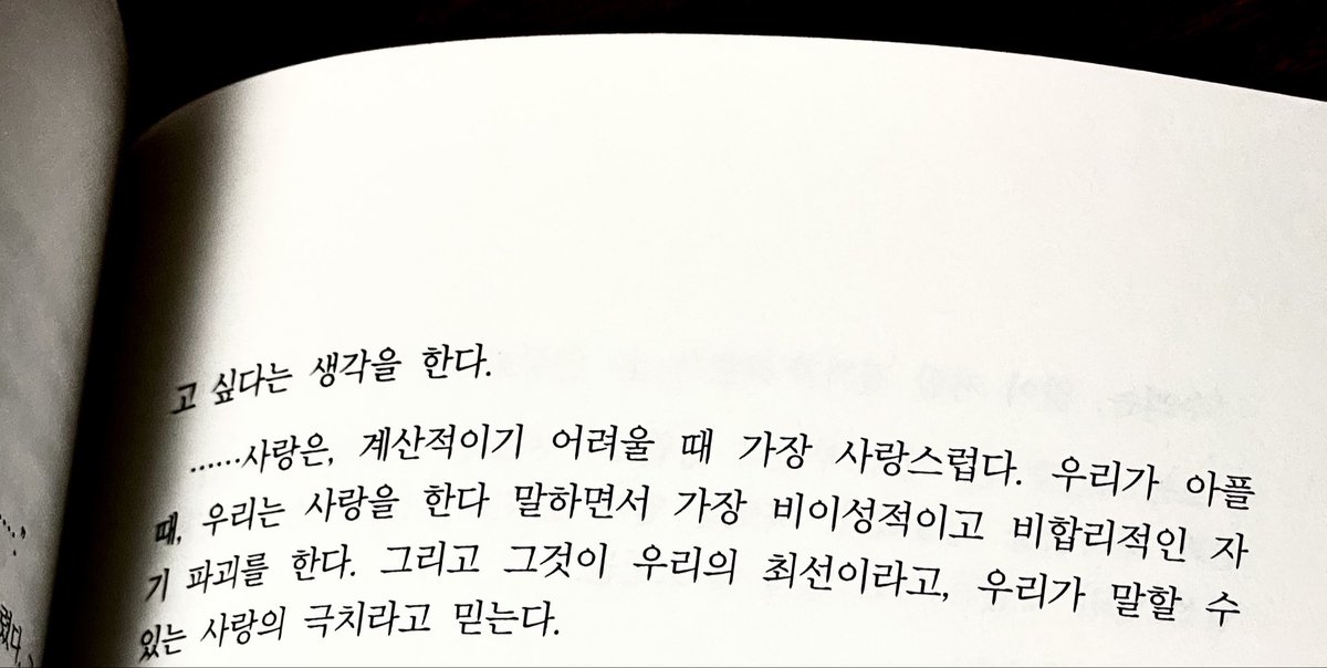 5hi_ha_anne tweet picture