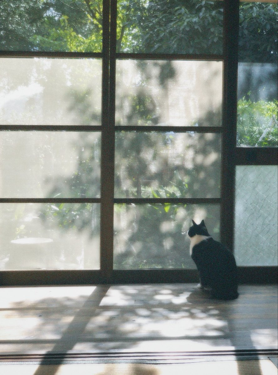 nagimachi_sou's tweet photo. https://t.co/2MvP9wa4cf