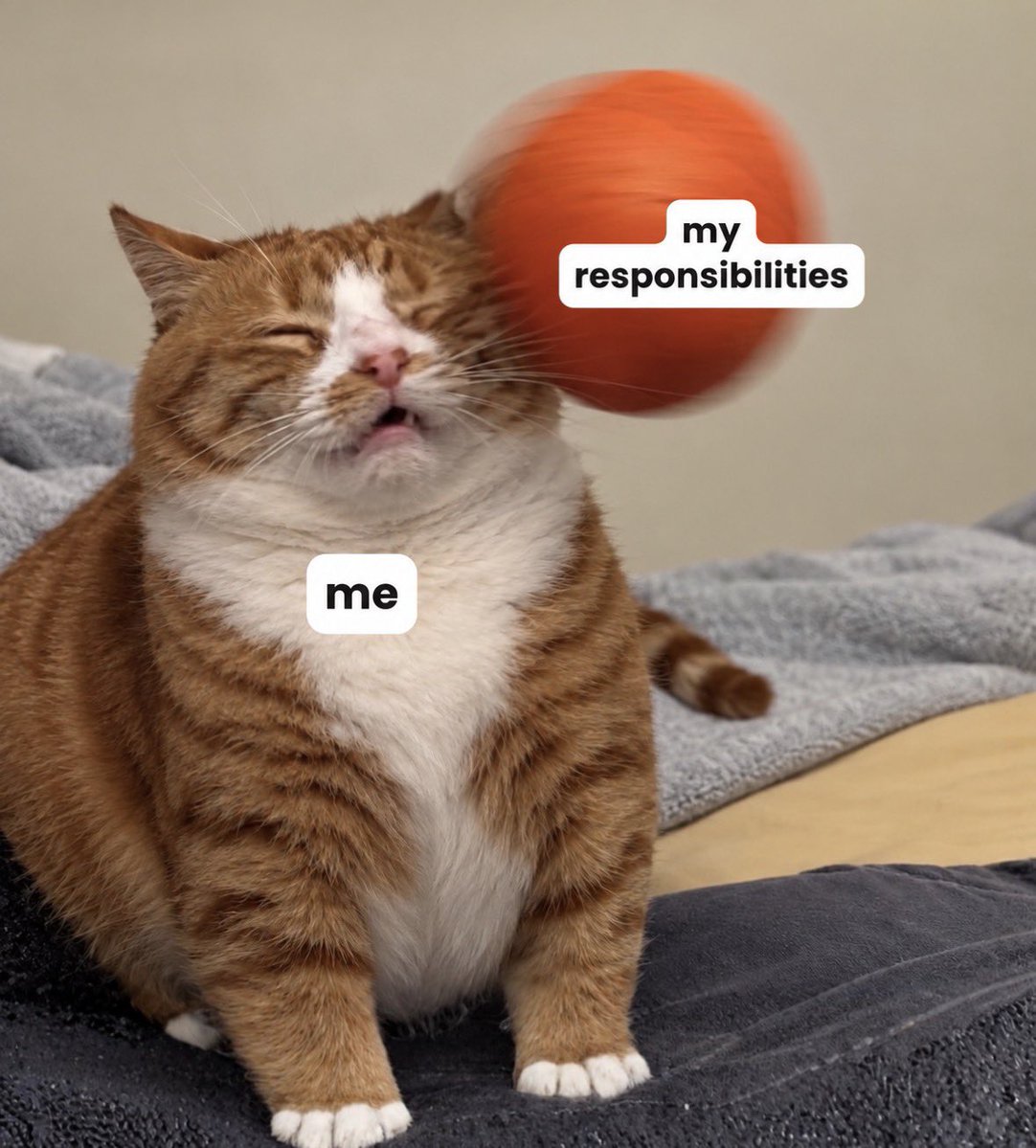 RespectfulMemes's tweet photo. https://t.co/oOboj002nx