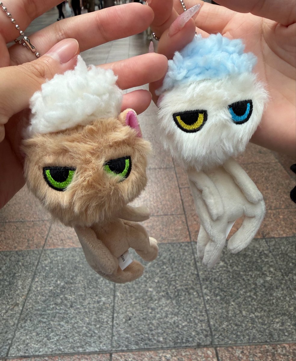 jurison_sps's tweet photo. 洗われた猫 https://t.co/2xIAk19G7o