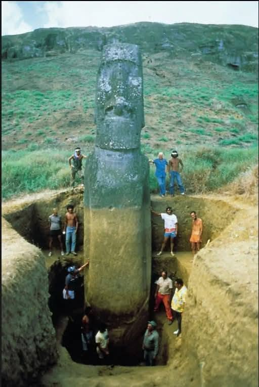 andreas_nigbur's tweet photo. THE MOAI HAVE BODIES. THE MUD FLOOD BURIED THEM.

Look at the famous Easter Island heads. We've all seen the photos—those giant stone faces staring out at the Pacific, mysterious and isolated.

But look at this image. This is what happens when you actually dig.Those aren't just heads. They are full-bodied statues. Torsos. Arms. Hands with long, stylized fingers resting on their abdomens. And look at the intricate carvings—the birdman motifs, the spirals, the petroglyphs etched into their backs.

Mainstream archaeology calls this a slow, gradual process. They say centuries of rain washed sediment down the volcanic slopes of Rano Raraku, gradually burying the statues up to their shoulders. The dirt accidentally preserved the carvings, they say.

That is the official story. A slow, gradual, natural process.But the Mud Flood conspiracy asks a different question.What if it wasn't slow? What if it wasn't gradual? What if it wasn't an accident?

Look at how deep the excavation team has to dig. Look at the wooden shoring holding back the earth. This isn't a few inches of topsoil—this is a massive, deep, uniform layer of sediment.
If it was just erosion, why are the statues buried so uniformly? 

Why are they entombed up to their shoulders at a consistent depth across the island? Why do the buried bodies show almost no weathering, while the exposed heads are heavily eroded? A slow, gradual process would leave uneven burial. A sudden event leaves a consistent line.

The Mud Flood narrative says the Moai weren't just statues. They were memory devices—monuments designed to survive a catastrophe, their buried bodies preserving a message for future civilizations.

The Easter Island Statue Project has excavated over 90 statues since 1914, exposing torsos that the world had forgotten. And every time they dig, they find the same thing: the bodies were there all along.

 The dirt wasn't meant to bury them. It was washed down from above.The question is not whether the statues have bodies. The question is: what buried them—and when?

Mainstream science says gradual erosion over centuries. The Mud Flood theory says a global reset that buried the old world under mud and sediment.

Either way, the next time you see a photo of an Easter Island head, remember: you are only seeing the top of something much, much deeper.

The bodies are still down there. The mud is still telling its story.
And most people are still looking only at the heads.