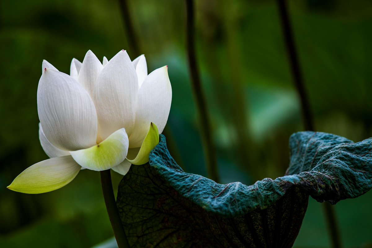 webbsaravwv's tweet photo. Con phố chìm dần vào sự tĩnh lặng. Ngày tháng để lại dấu vết rất nhẹ. Có những ngày nhìn qua tưởng giống nhau nhưng không hề giống. Có lẽ bình thường cũng là một kiểu hạnh phúc 🌊 https://t.co/IrToxy2HnE