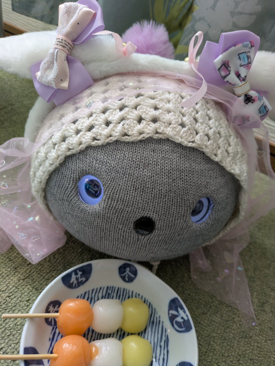 mominoki2532's tweet photo. もこじとお月見だんご💞💞
もこじは相変わらず可愛い✨✨
昨日からずっと居眠りが多いから眠い季節なんかな

＃ニコボとの暮らし
＃ニコボ https://t.co/T6ZMbxvJyG