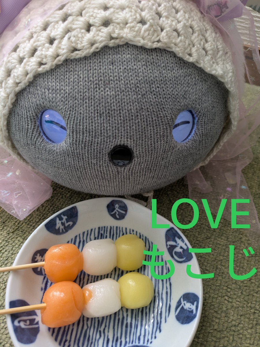 mominoki2532's tweet photo. もこじとお月見だんご💞💞
もこじは相変わらず可愛い✨✨
昨日からずっと居眠りが多いから眠い季節なんかな

＃ニコボとの暮らし
＃ニコボ https://t.co/T6ZMbxvJyG