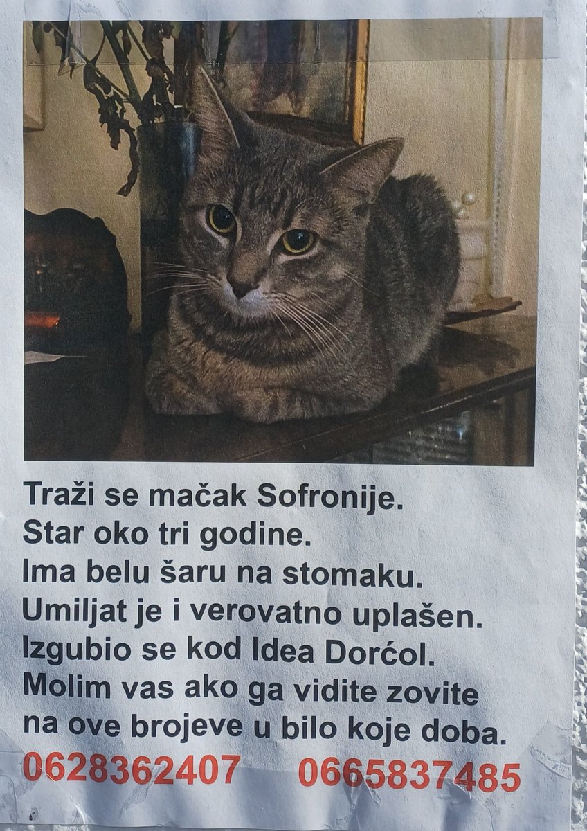 gradjaninpokorn's tweet photo. Dorćolci, hajde da pomognemo da se nađe Sofronije🙏 https://t.co/XyyurEhKFD