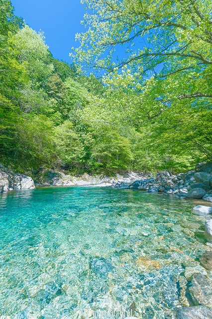 RyleeDixonkrq's tweet photo. 朝の通勤電車で外を見ると、秋の空気が感じられて、すでに紅葉の始まりを告げる木々が目に付く。風が涼しく吹き抜ける中、ジョギングで汗を流す日々が快適に感じる。 https://t.co/1u2y3rw7FB