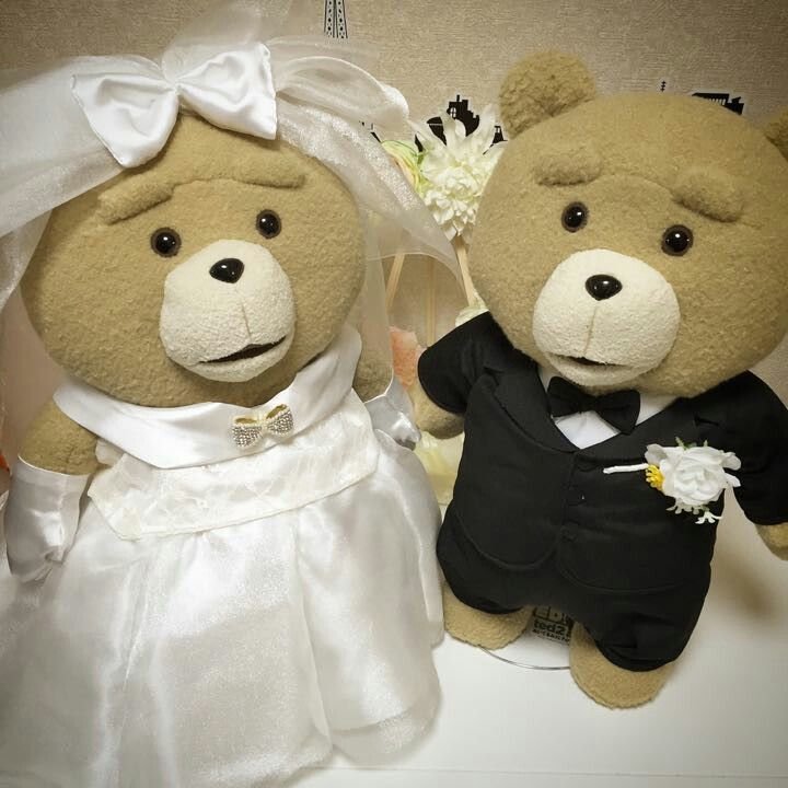 MunkyBreadd's tweet photo. i love people who take photos of their ted plushies... so kyute<33 https://t.co/lH3AsnQ4rQ