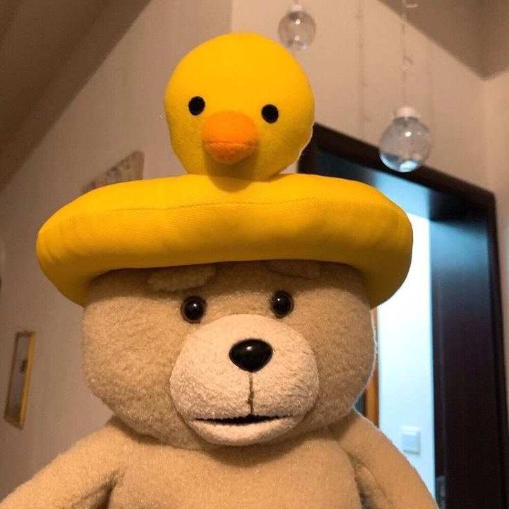 MunkyBreadd's tweet photo. i love people who take photos of their ted plushies... so kyute<33 https://t.co/lH3AsnQ4rQ