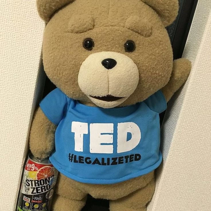 MunkyBreadd's tweet photo. i love people who take photos of their ted plushies... so kyute<33 https://t.co/lH3AsnQ4rQ