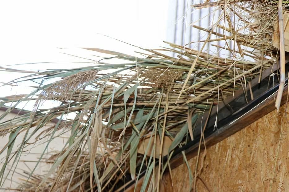 FJCU's tweet photo. Immediately after Yom Kippur, the construction of sukkot, - the traditional festive booths in which one of the central commandments of #Sukkot, leshev ba-sukkah (“dwelling in the sukkah”), is observed, - began in #Dnipro Jewish Community. https://t.co/gNE1ZklXvr