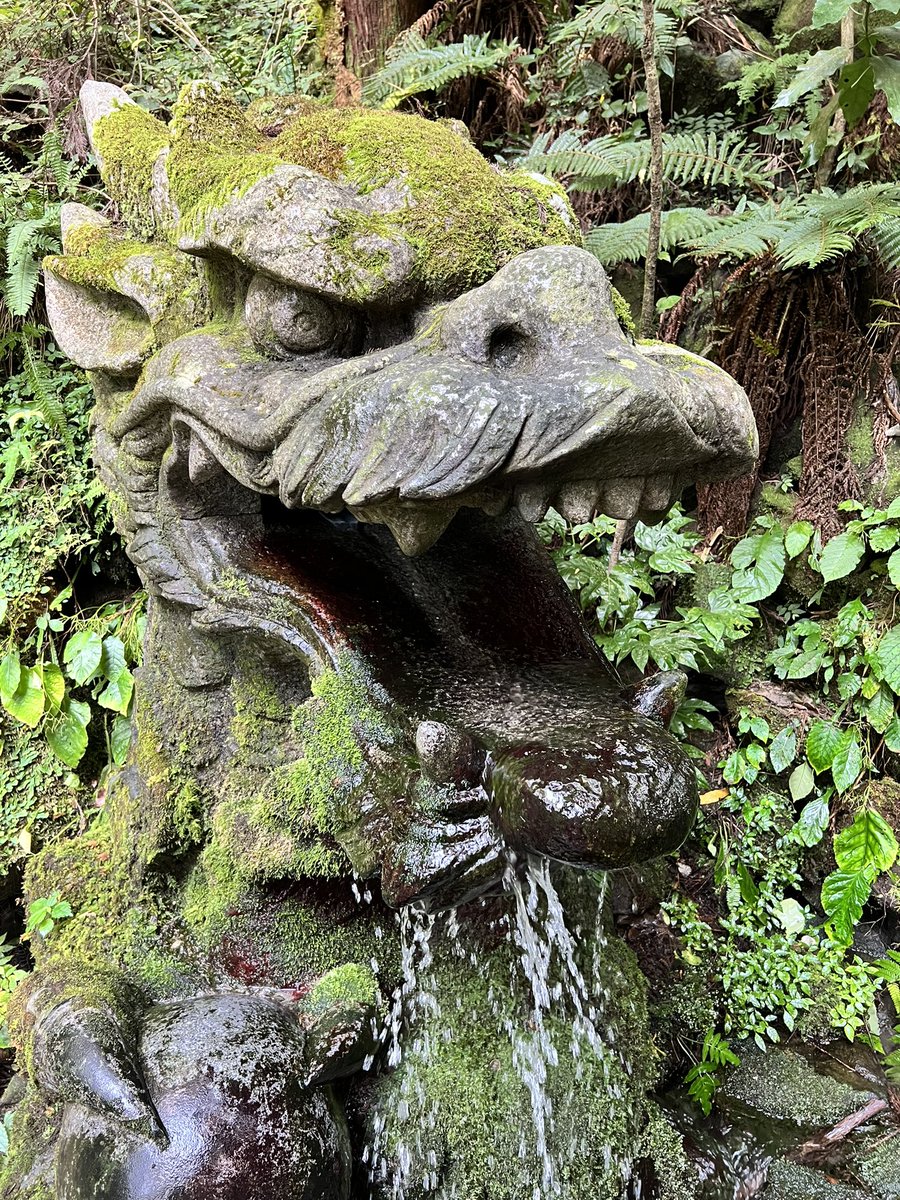 Nunchan23_'s tweet photo. マイナスイオン🌿🫧 https://t.co/xruBUgY6wR