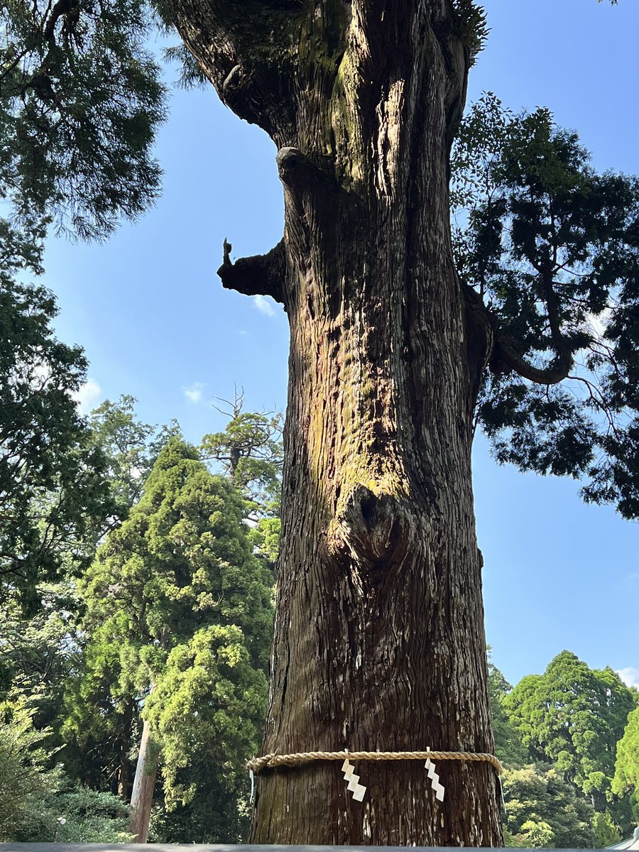 Nunchan23_'s tweet photo. マイナスイオン🌿🫧 https://t.co/xruBUgY6wR