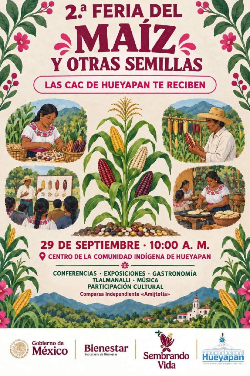 UniondeMorelos's tweet photo. Alistan la Segunda Feria del Maíz y Otras Semillas en Hueyapan https://t.co/KXitRwb5YX https://t.co/bYxUf6A3zb