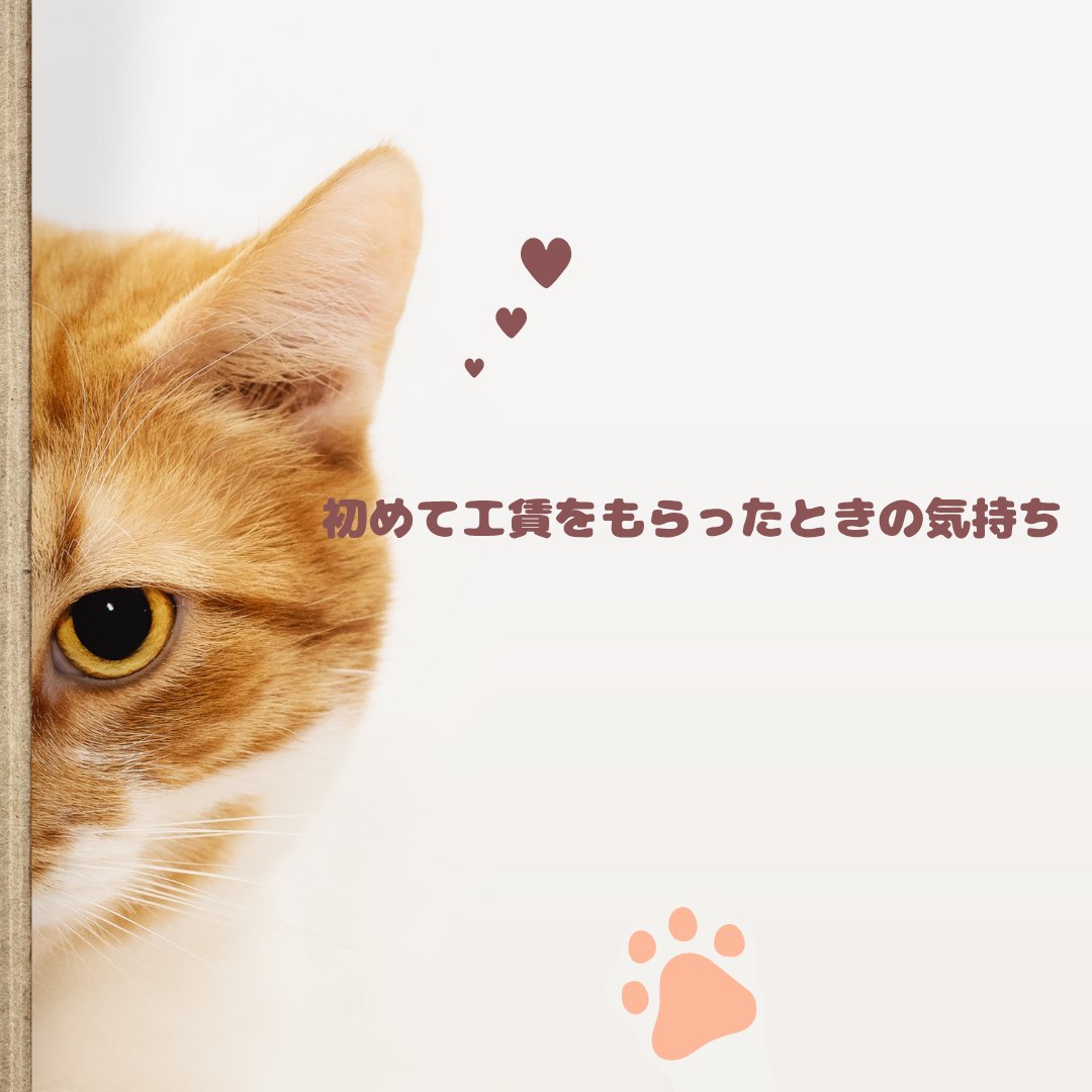 kyarihama's tweet photo. こんにちは、キャリカク浜松駅前オフィスです＾＾

「初めて工賃を貰ったとき、とても嬉しかったです！」

#就労継続支援B型 #就労支援 #障害 #見学受付中 #体験受付中 #案件募集 #動画編集 https://t.co/39X5Ez91gb