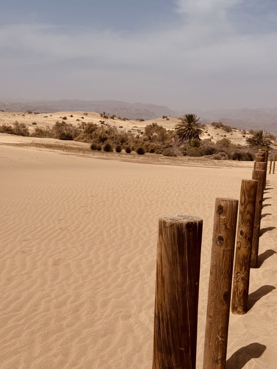 boxercollector's tweet photo. Exploring the dunes in my jockstrap.  Wearing a jock everyday making it the norm in Gran Canaria.  The new routes are the superhighways from the beach into a mystic desert full of passing buy naked guys wearing only a cock ring. Strange place.  Worth a visit though. https://t.co/Vd6hvHJSCw