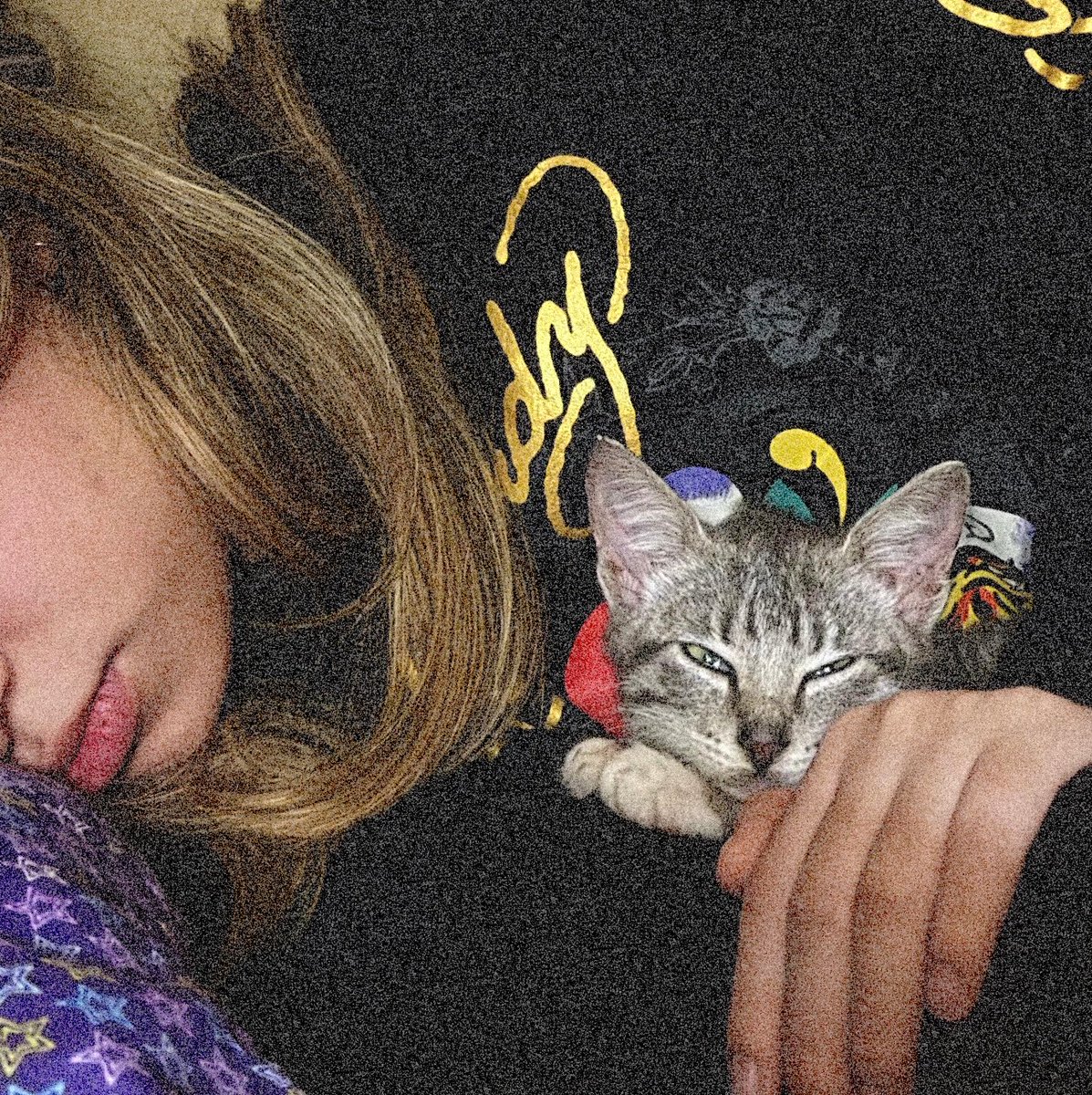 danielangls's tweet photo. la foto q me tomó alguien mientras dormía acurrucada de mi gato https://t.co/g0TIqtRWjk