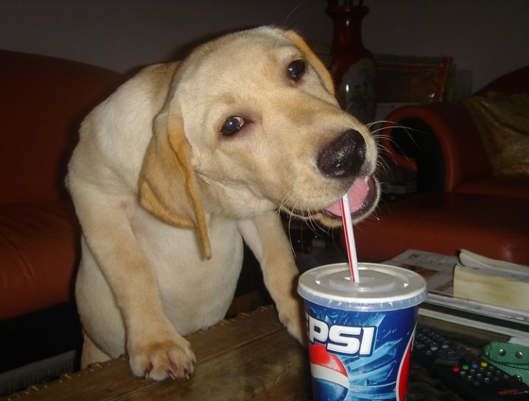 UnderDogXmm tweet picture