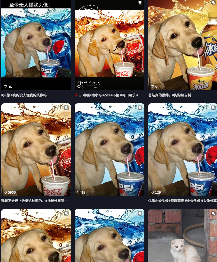 UnderDogXmm tweet picture