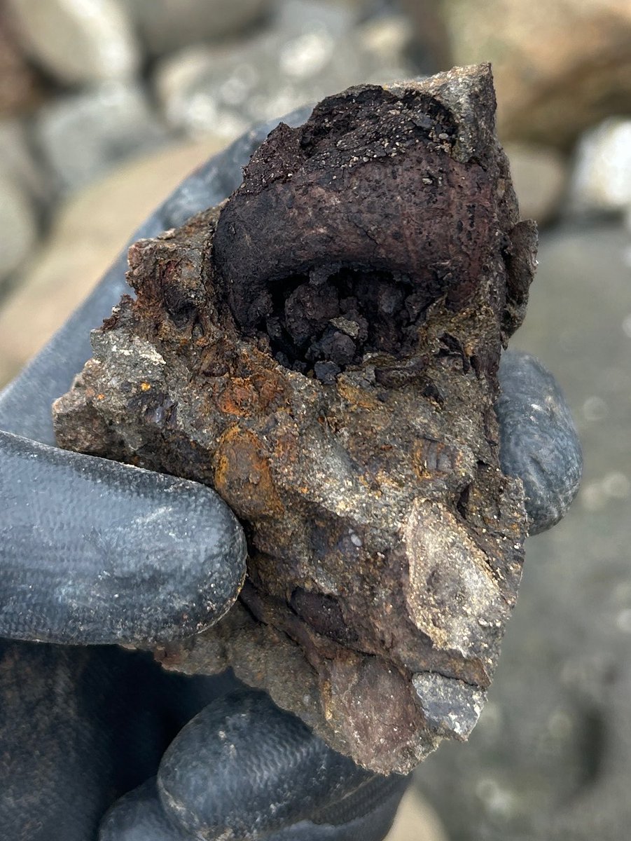 kansai_minerals's tweet photo. 紀伊半島の白亜紀層エリアにて調査。

タガネを使ってアプローチし、貝化石の断片や有機質が混じる母岩を確認できました。

現場で道具を振って狙い通りの化石が出た時の達成感は格別ですね。

じっくりクリーニングしてみます！

#関西鉱物採集研究室 #化石採集  #化石 #標本 https://t.co/lklUVmPjbJ