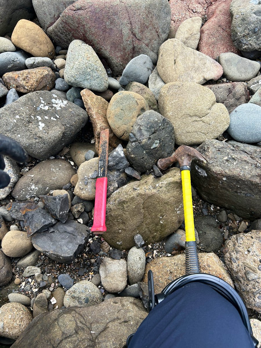 kansai_minerals's tweet photo. 紀伊半島の白亜紀層エリアにて調査。

タガネを使ってアプローチし、貝化石の断片や有機質が混じる母岩を確認できました。

現場で道具を振って狙い通りの化石が出た時の達成感は格別ですね。

じっくりクリーニングしてみます！

#関西鉱物採集研究室 #化石採集  #化石 #標本 https://t.co/lklUVmPjbJ