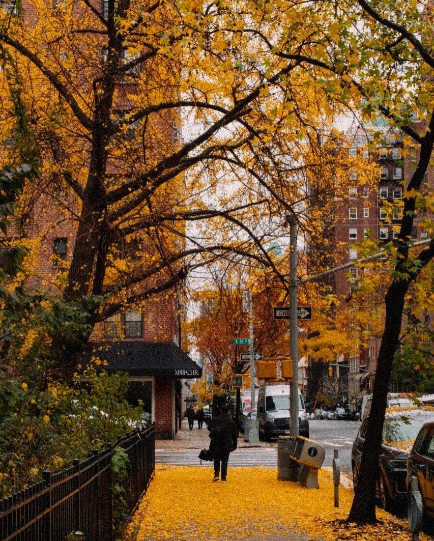 earthserenityy's tweet photo. New York City NY https://t.co/MXdujaNb9P
