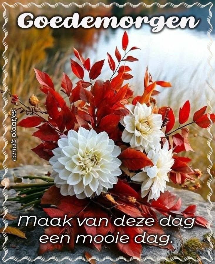 cors22 tweet picture