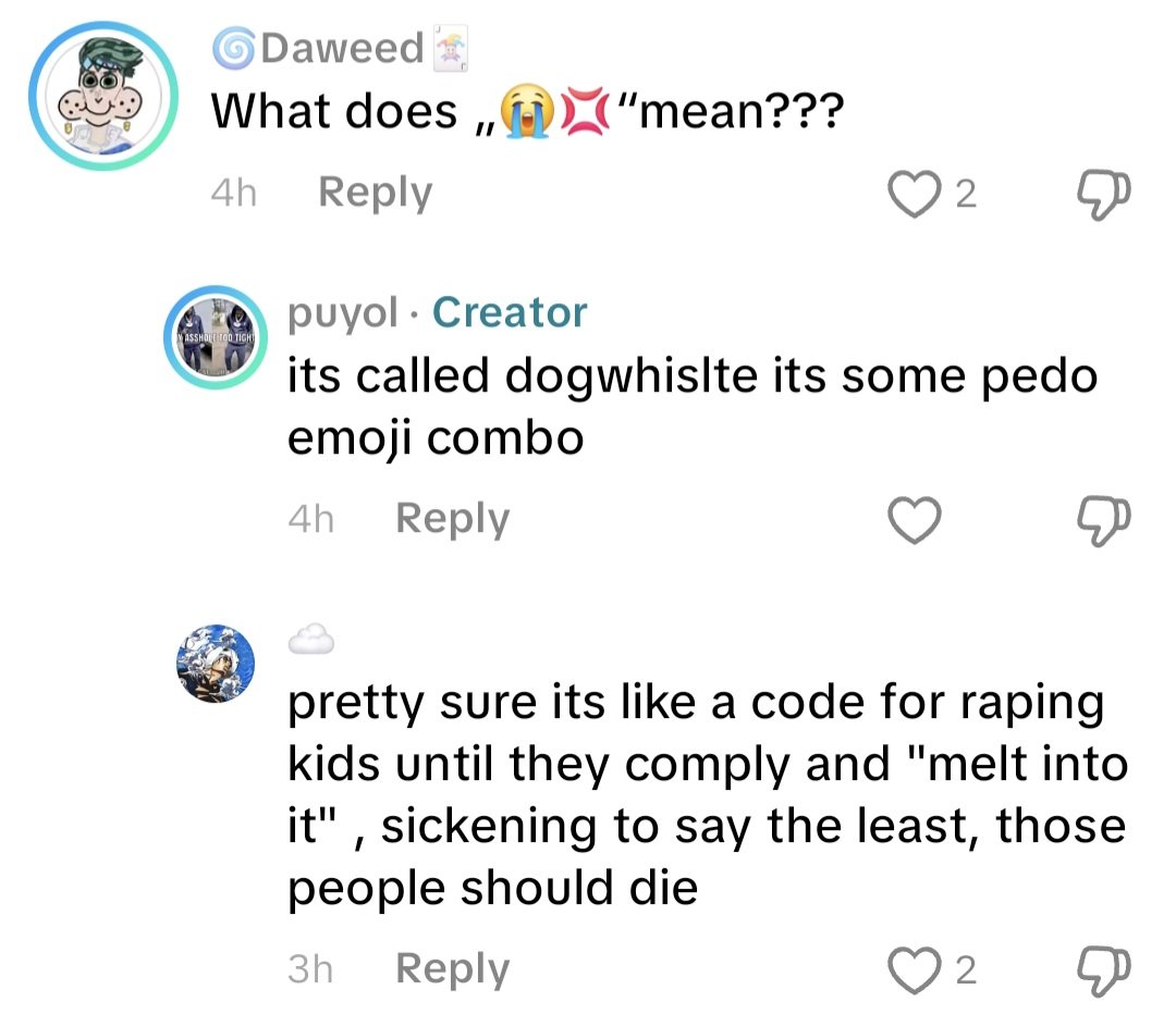Ancap_doggo's tweet photo. ????😭😭😭 
Tiktok antis just say shit i swear https://t.co/8AbYMzQNDQ