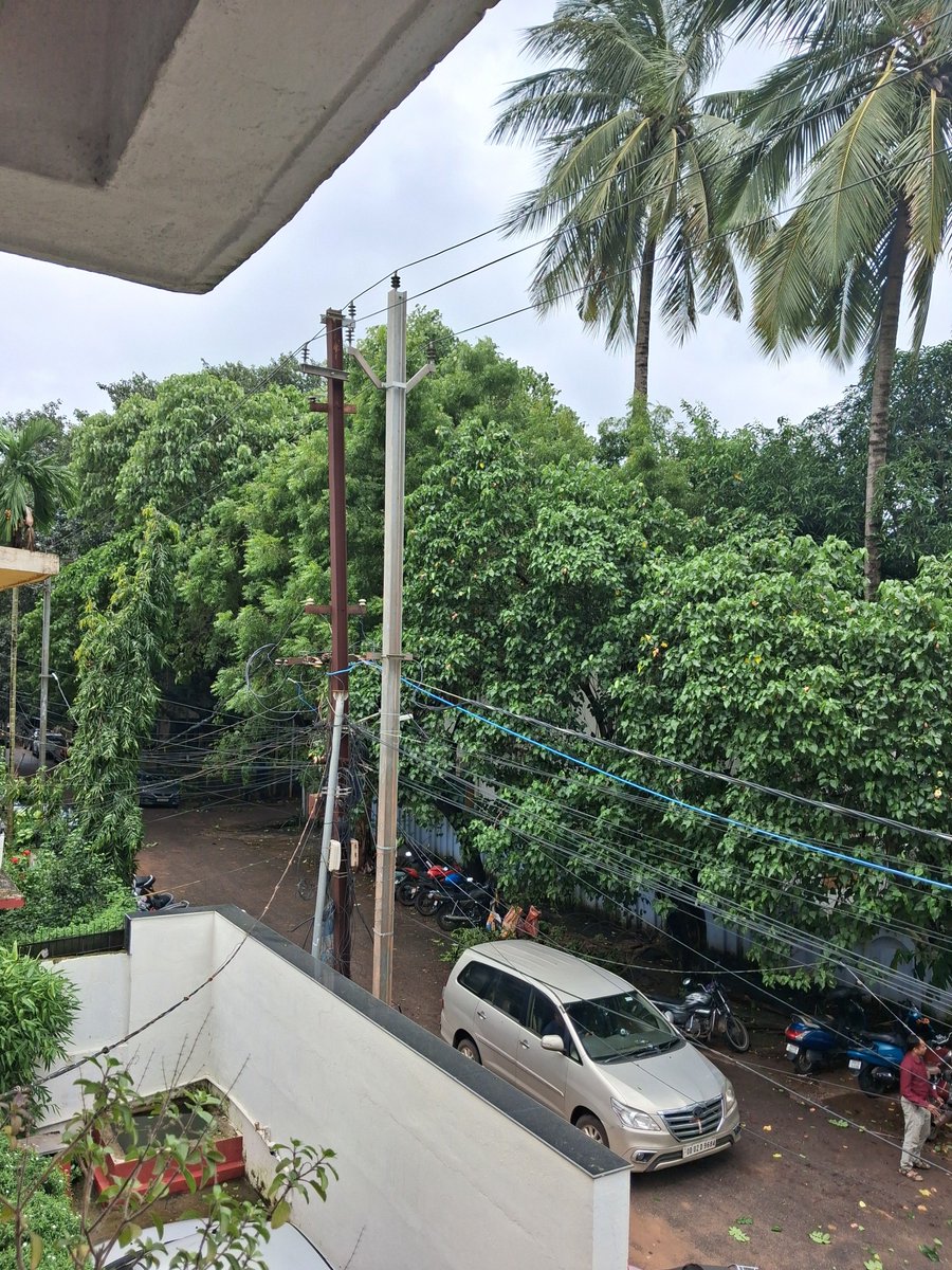 OdishaSimanta's tweet photo. @bmcbbsr @me_bhubaneswar @BSCL_BBSR please help trim these trees on Saheed Nagar road near Sparsh Hospital. We are facing serious injury and damages from falling branches. Help! https://t.co/2FlL6ubaRB