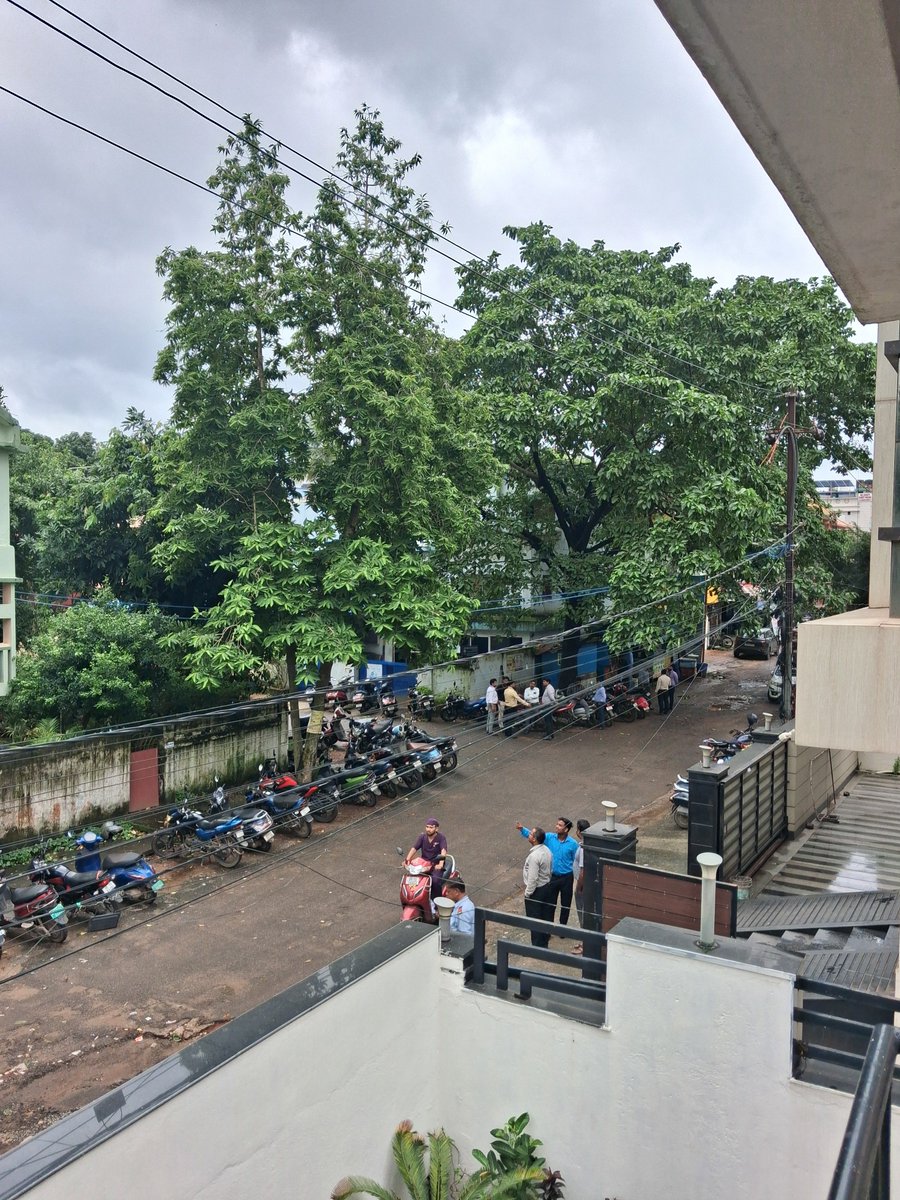 OdishaSimanta's tweet photo. @bmcbbsr @me_bhubaneswar @BSCL_BBSR please help trim these trees on Saheed Nagar road near Sparsh Hospital. We are facing serious injury and damages from falling branches. Help! https://t.co/2FlL6ubaRB