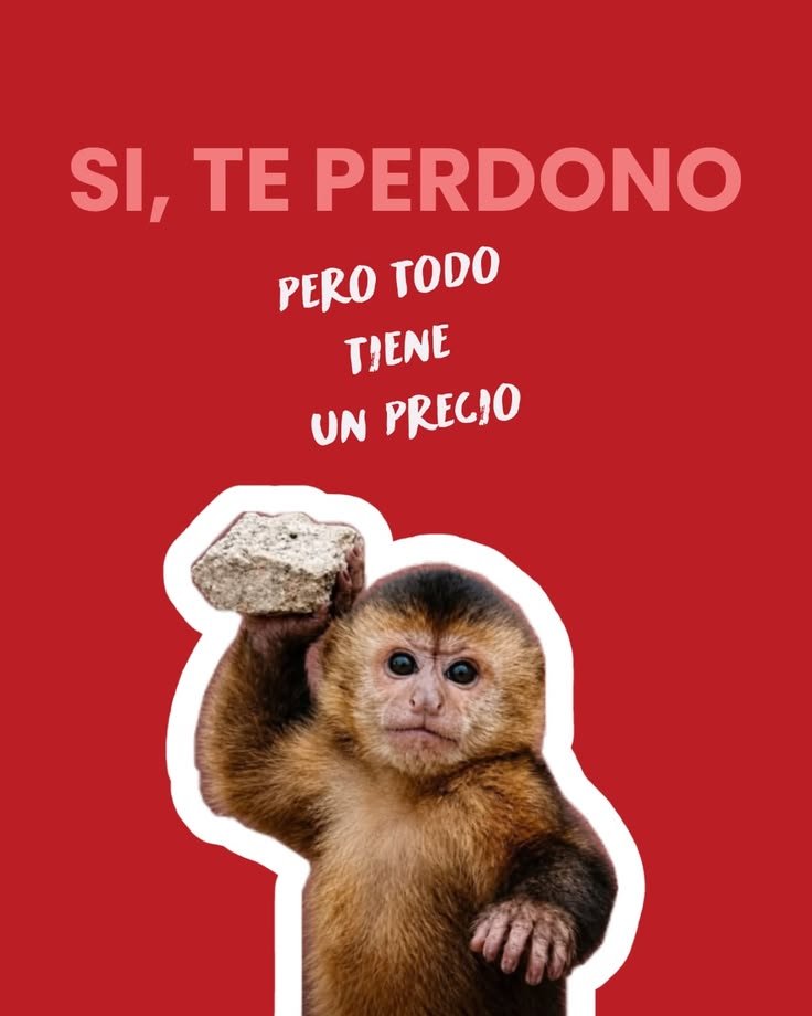 PerlaSalas833's tweet photo. https://t.co/WaoRXtKr4G
