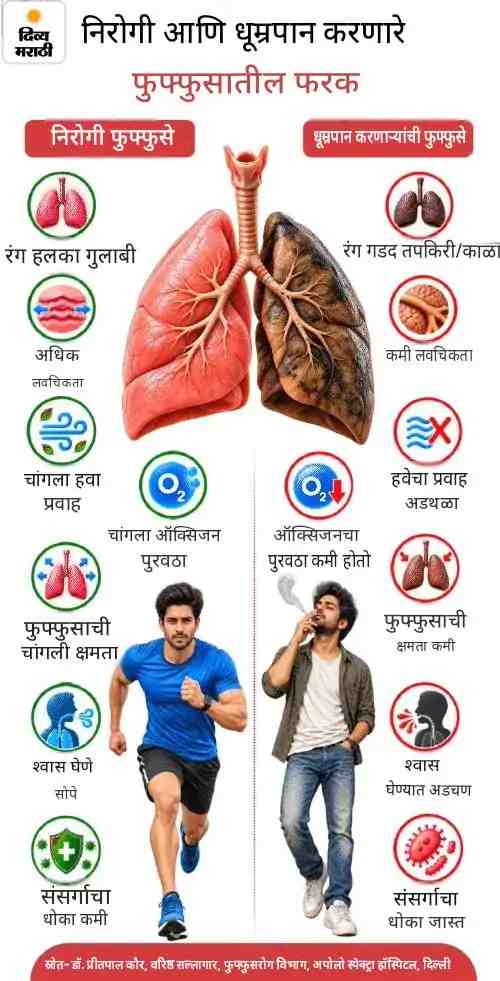 MarathiDivya's tweet photo. सिगारेटच्या एका झुरक्यात 7000 विषारी घटक :‘वर्ल्ड लंग्स डे’ निमित्त पाहा, निरोगी आणि धूम्रपान करणाऱ्यांच्या फुफ्फुसांमधील फरक, निरोगी ठेवण्यासाठी 15 टिप्स
https://t.co/2ir3V4k05x
#Lifestyle #Health #Smokers #Lung #Healthy #LungRecovery #Smoking #Tips #LungsDay https://t.co/BkBvzlpdmn