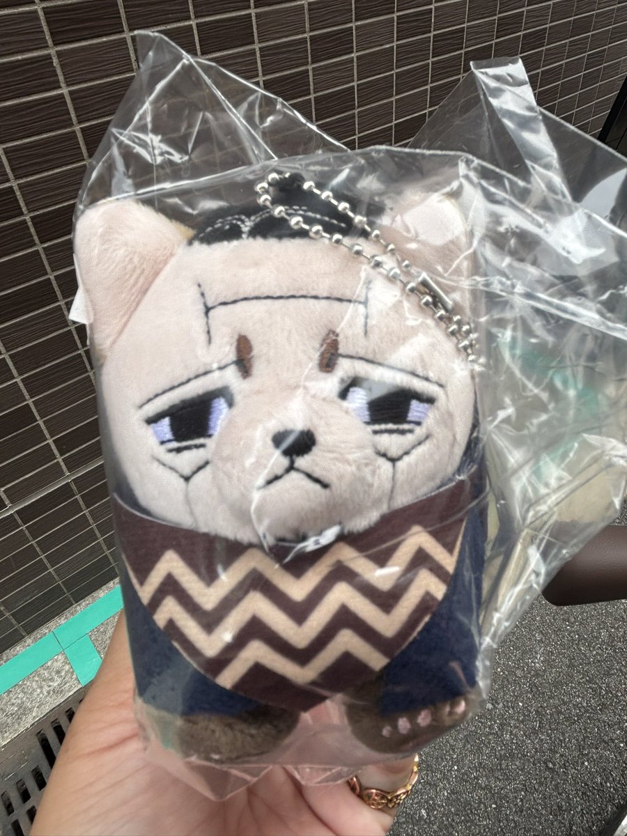 agewokue's tweet photo. ありがとうまだ居てくれて……！チャリンコ1.5時間漕いでお迎えしに来たわ……！ https://t.co/Gm8Knu590n