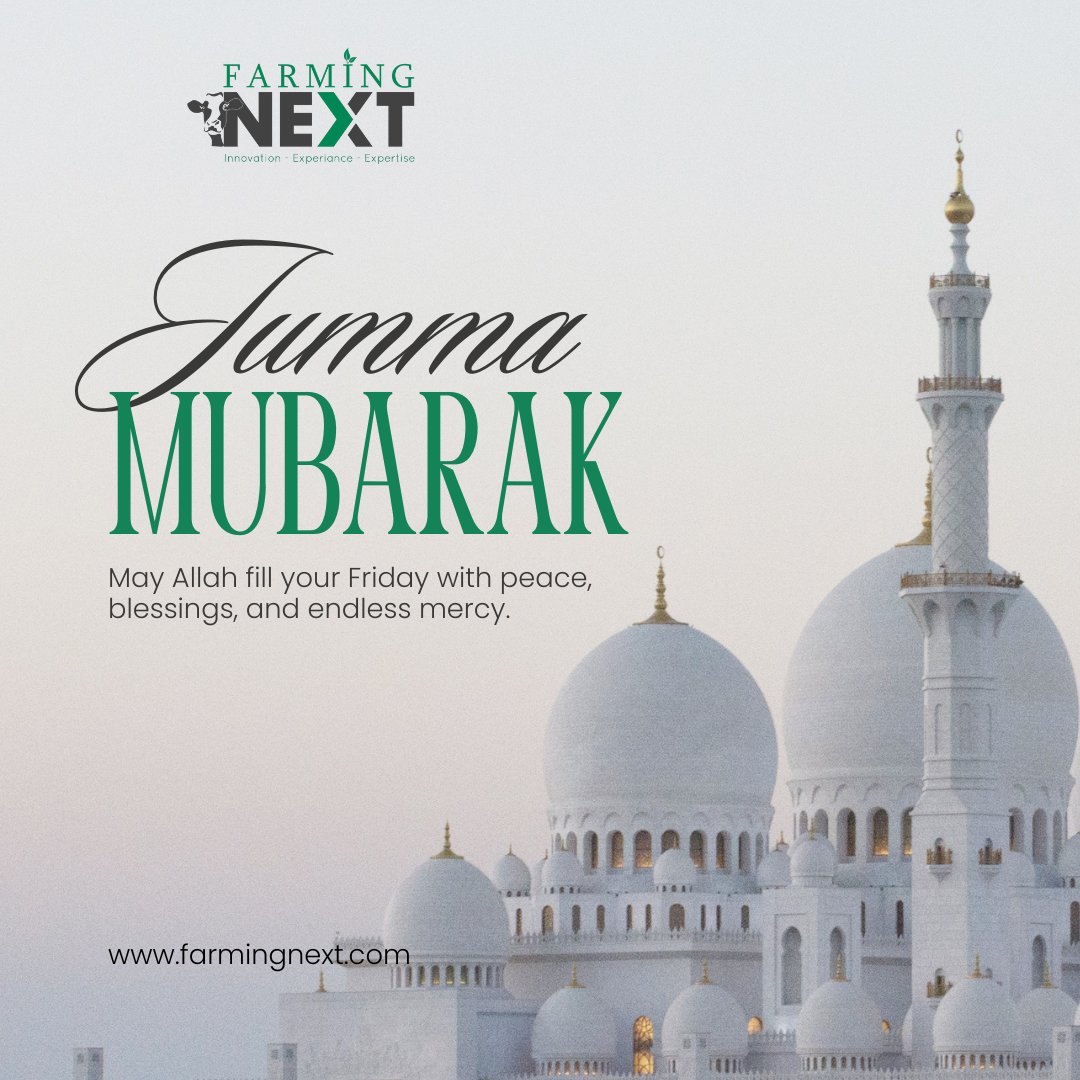 farmingnext555's tweet photo. 𝐉𝐮𝐦𝐦𝐚 𝐌𝐮𝐛𝐚𝐫𝐚𝐤! 📷📷
May Allah bless us with peace, happiness, mercy, and endless blessings. Ameen. 📷
#JummaMubarak #FridayBlessings #Jumma #Alhamdulillah https://t.co/ozcjIn9FzP