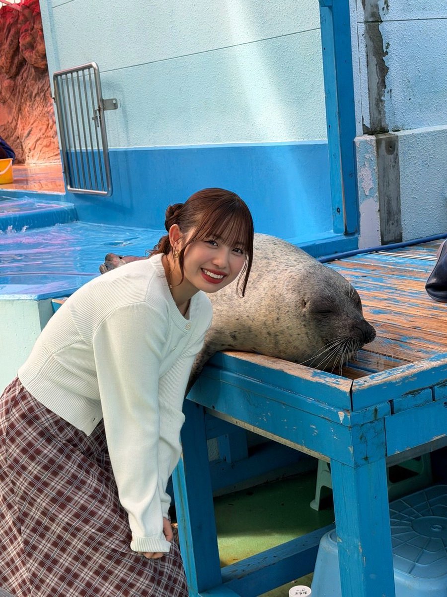 angerme_upfront's tweet photo. #おいないさ伊勢  🐾4個目🐾

続いても、二見エリアにあります
【伊勢シーパラダイス】🦭🐧🐟

この水族館は、0距離で生き物達と触れ合いが出来ます〜！ゴマちゃんに26日伊勢でライブすることお話してきたよ、そしたら寝てた🦭😴

伊勢シーパラダイスのプリクラも撮ってきた☺︎☺︎みんなも撮ってね📸📸