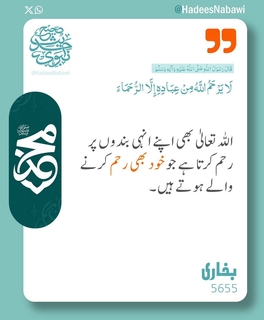 husainmalkiran's tweet photo. https://t.co/xoX8Jxpam4