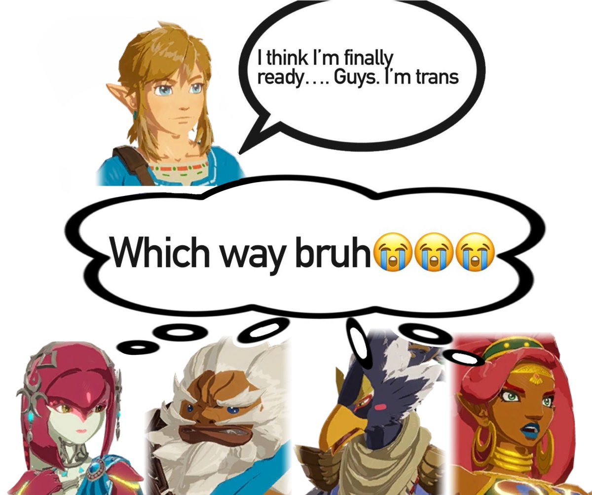 saigenosyuri's tweet photo. #botw https://t.co/NWWCD5ioEo