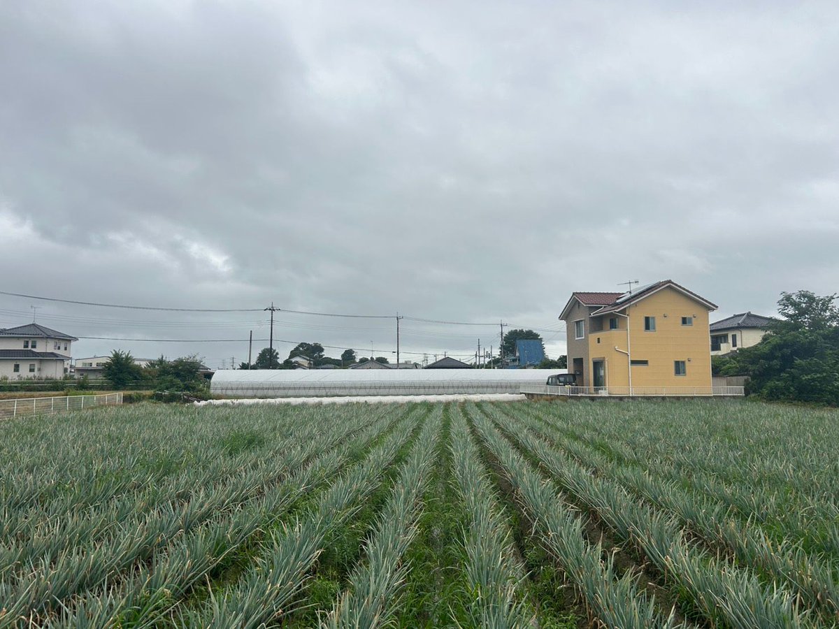 tsukaharafarm's tweet photo. 地味に見える毎日の積み重ねが、おいしさをつくります。

土の様子、葉の色、伸び方。
今日もねぎの小さな変化を確かめています。

続きも畑から届けます。

#塚原農場 #深谷ねぎ #農家の日常 https://t.co/BQNo7jOVpE