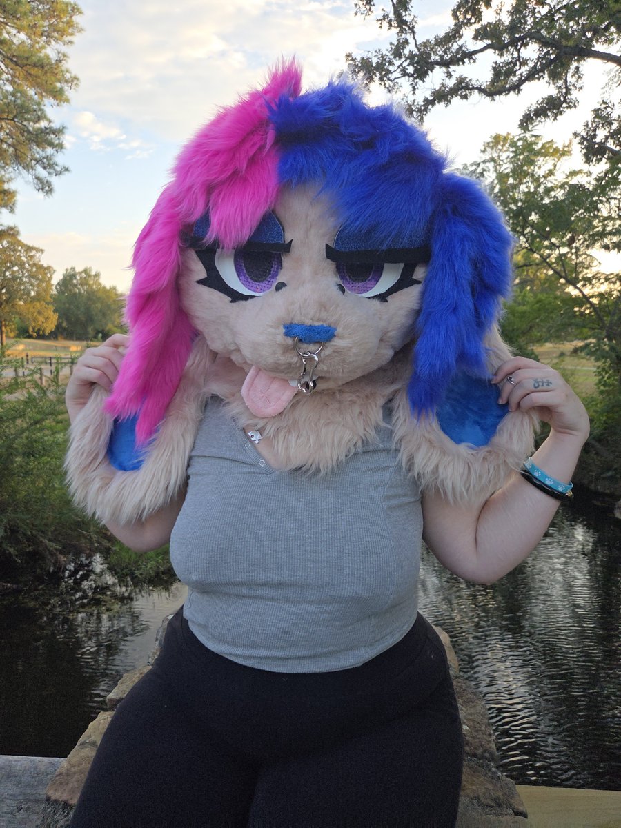 bubblesdabun's tweet photo. sfw post BUTTTTTTT i got my fursuit head and tail and paws 🥹🫶 so be expecting murrsuit content soon 😘 https://t.co/lw9oYHQKhM