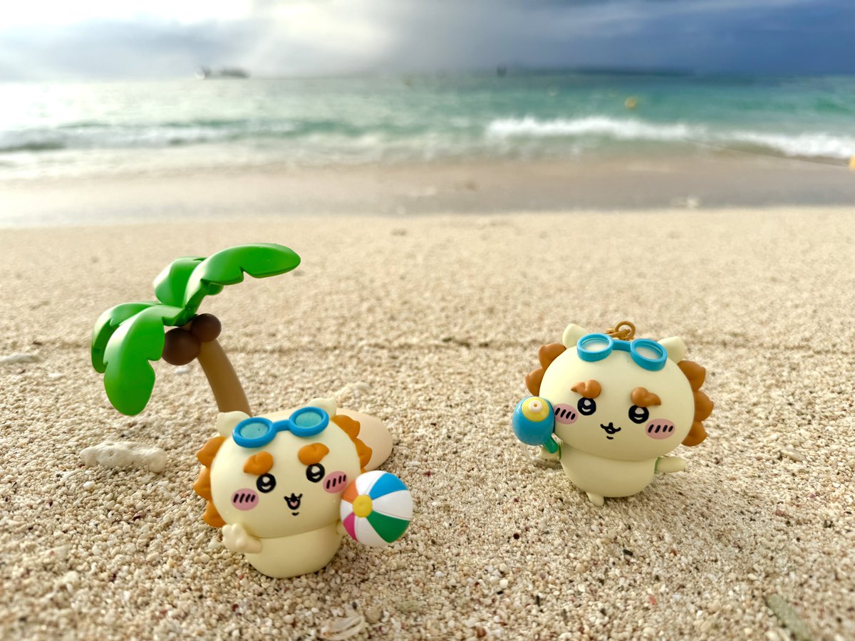 ure43ure43's tweet photo. シーサーは綺麗なビーチが似合いま〜す🏖️ https://t.co/J1UN6XkDO7