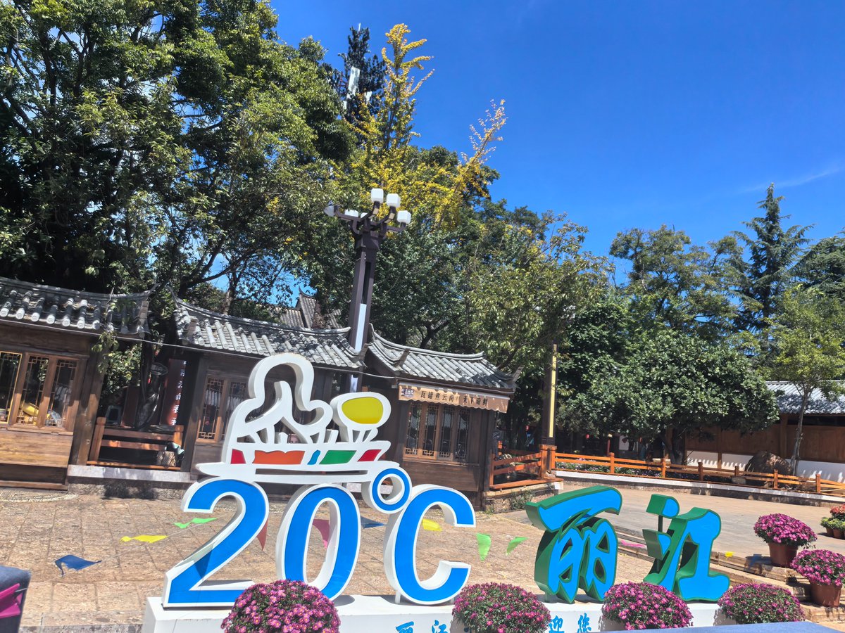 WildeArthu's tweet photo. 中秋漫步20℃的丽江古城，古水车流转，繁花盛放，在世界文化遗产之地感受温柔秋日时光
Mid‑Autumn stroll in 20℃ Lijiang Old Town. Ancient waterwheels, blooming flowers, enjoy the gentle autumn at this World Cultural Heritage site
Lijiang #MidAutumnFestival #YunnanTravel https://t.co/AjpLwRlNHN