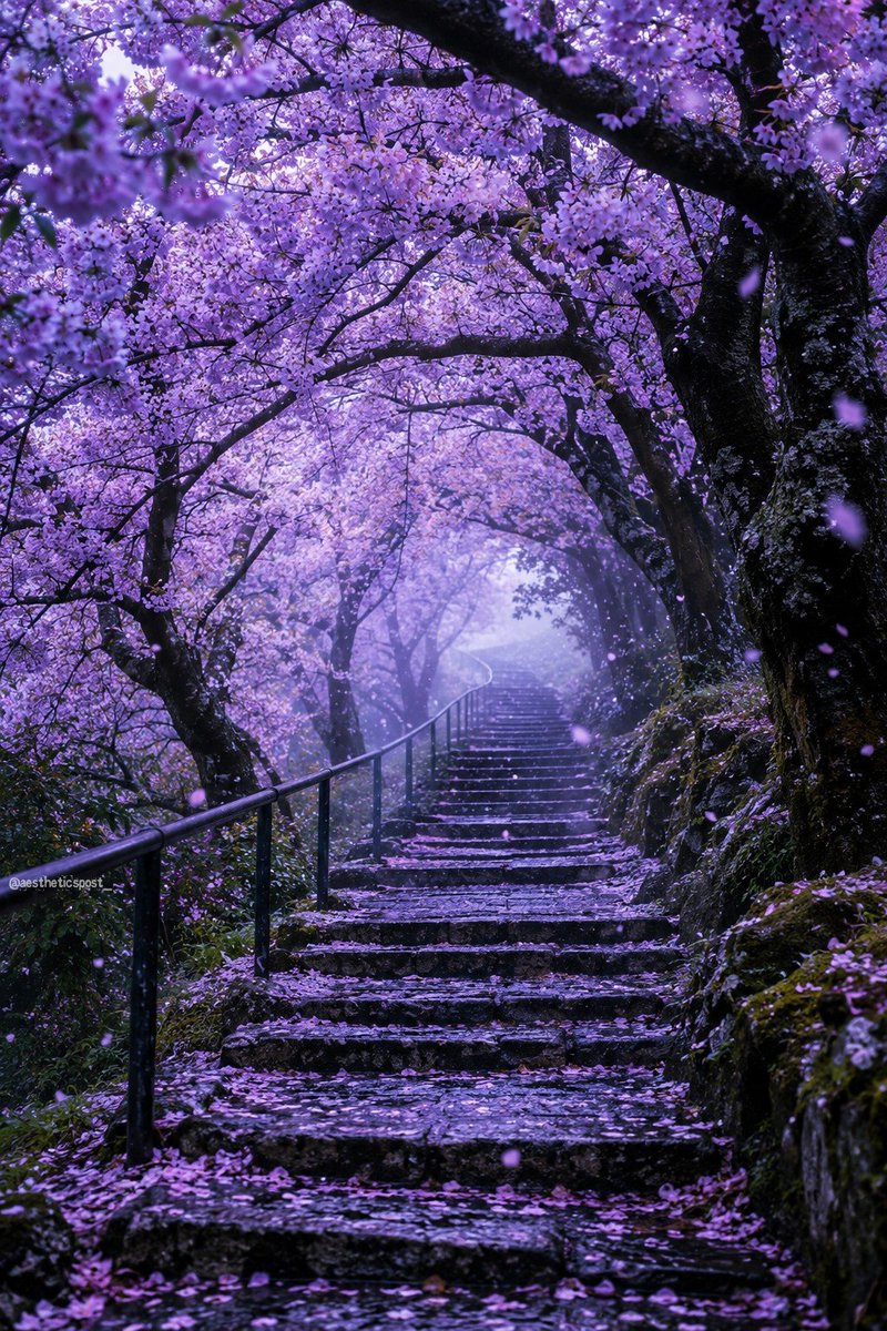 aestheticspost_ tweet picture