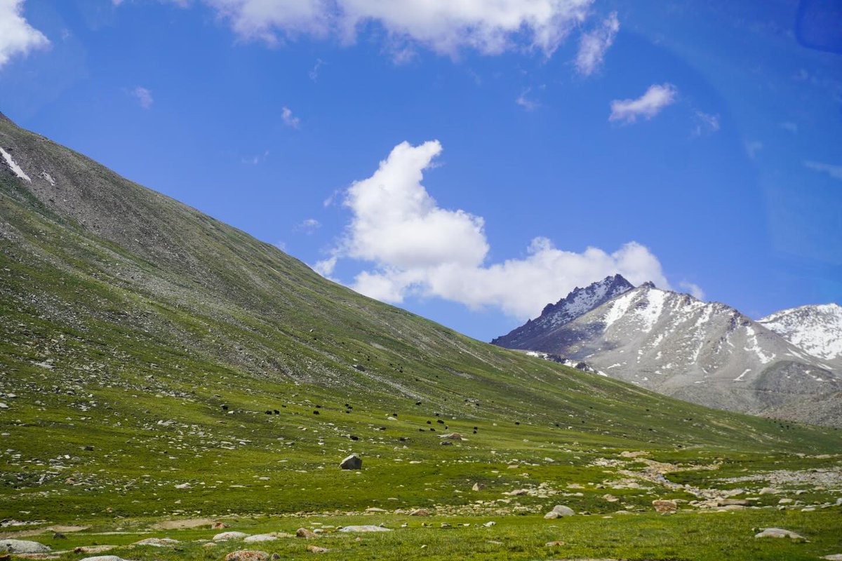 RobertaTwehl's tweet photo. Oh Leh—where rugged mountains, lush valleys, and summer greenery meet. Captured through a Sony lens, where every view feels like art. https://t.co/XQf20d96lD