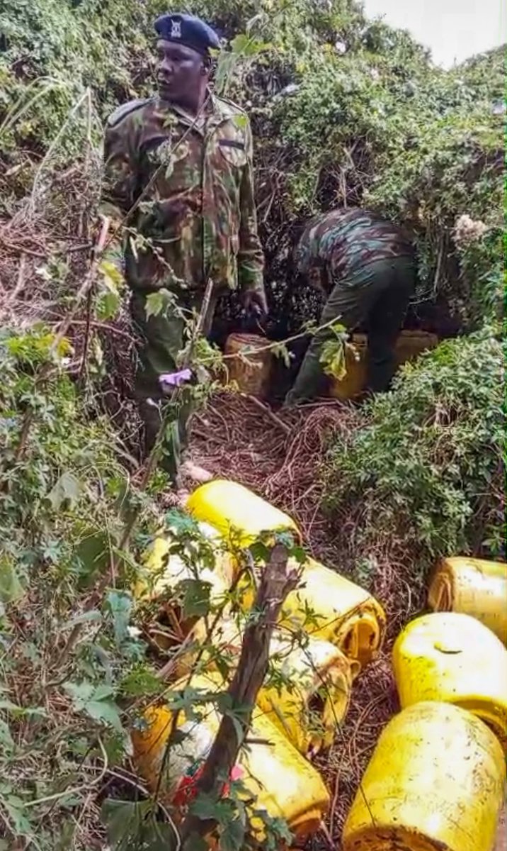 NPSOfficial_KE's tweet photo. 𝗣𝗢𝗟𝗜𝗖𝗘 𝗜𝗡𝗧𝗘𝗡𝗦𝗜𝗙𝗬 𝗖𝗥𝗔𝗖𝗞𝗗𝗢𝗪𝗡 𝗢𝗡 𝗜𝗟𝗟𝗜𝗖𝗜𝗧 𝗕𝗥𝗘𝗪𝗦 𝗜𝗡 𝗞𝗔𝗛𝗔𝗪𝗔 𝗪𝗘𝗦𝗧

Police officers attached to Kahawa West Police Station in the Nairobi Region have intensified action against the production and distribution of illicit brews, as part of ongoing efforts to protect communities from substances that pose a threat to public safety and wellbeing.

The operation was conducted in the Soweto and Saa Mbaya areas, targeting premises suspected of being used for the production of illicit brews and the sale of drugs. The action resulted in the destruction of 2,600 litres of kangara and 120 litres of chang'aa, alongside various apparatus used in the production of the illicit brews.

The National Police Service remains focused on safeguarding communities through sustained enforcement against activities that facilitate crime. These operations also serve to deter criminal activity and reinforce the Service's commitment to maintaining law and order and protecting members of the public.

We urge members of the public to continue sharing timely information with the nearest police station or through the toll-free numbers 999, 911, #FichuaKwaDCI on 0800 722 203, or by WhatsApp on 0709 570 000 to assist in keeping our communities safe.