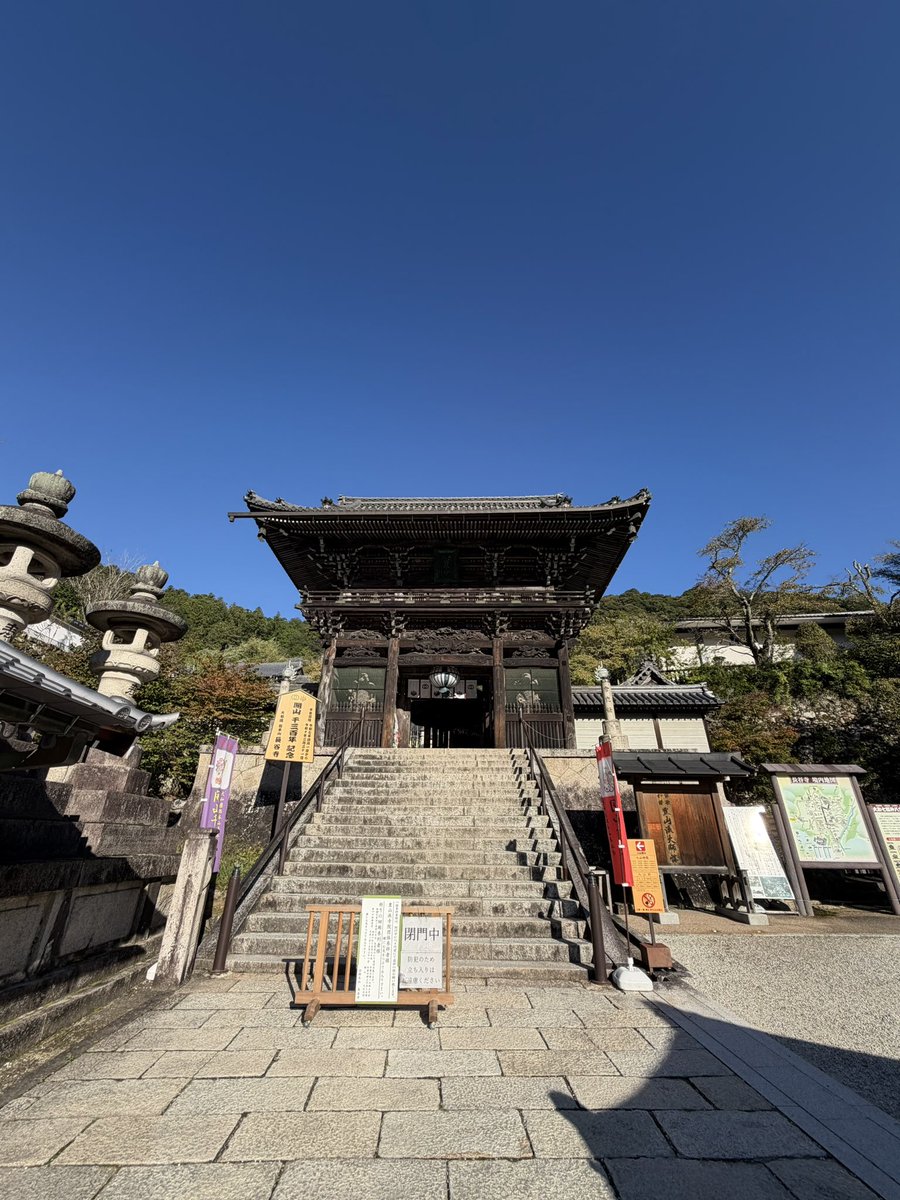 xsheeenax's tweet photo. シルバーウィーク7日目。長谷寺の朝勤行に参加。5時半起きでこの石段を登れと。
座った瞬間寝落ちそうになったけどシャンシャン錫杖経、太鼓と拍子木の般若心経と観音経で目ぇ覚めた。大人数読経の迫力にも圧倒されたけど何より太鼓ええ音……！　まさか早朝の寺でパーカスの血が騒ぐとは思わなんだ。 https://t.co/hjWntxFKy7