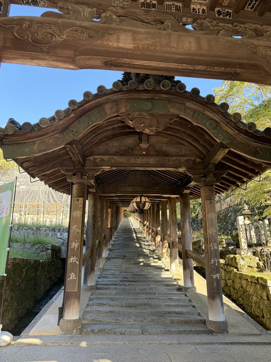 xsheeenax's tweet photo. シルバーウィーク7日目。長谷寺の朝勤行に参加。5時半起きでこの石段を登れと。
座った瞬間寝落ちそうになったけどシャンシャン錫杖経、太鼓と拍子木の般若心経と観音経で目ぇ覚めた。大人数読経の迫力にも圧倒されたけど何より太鼓ええ音……！　まさか早朝の寺でパーカスの血が騒ぐとは思わなんだ。 https://t.co/hjWntxFKy7