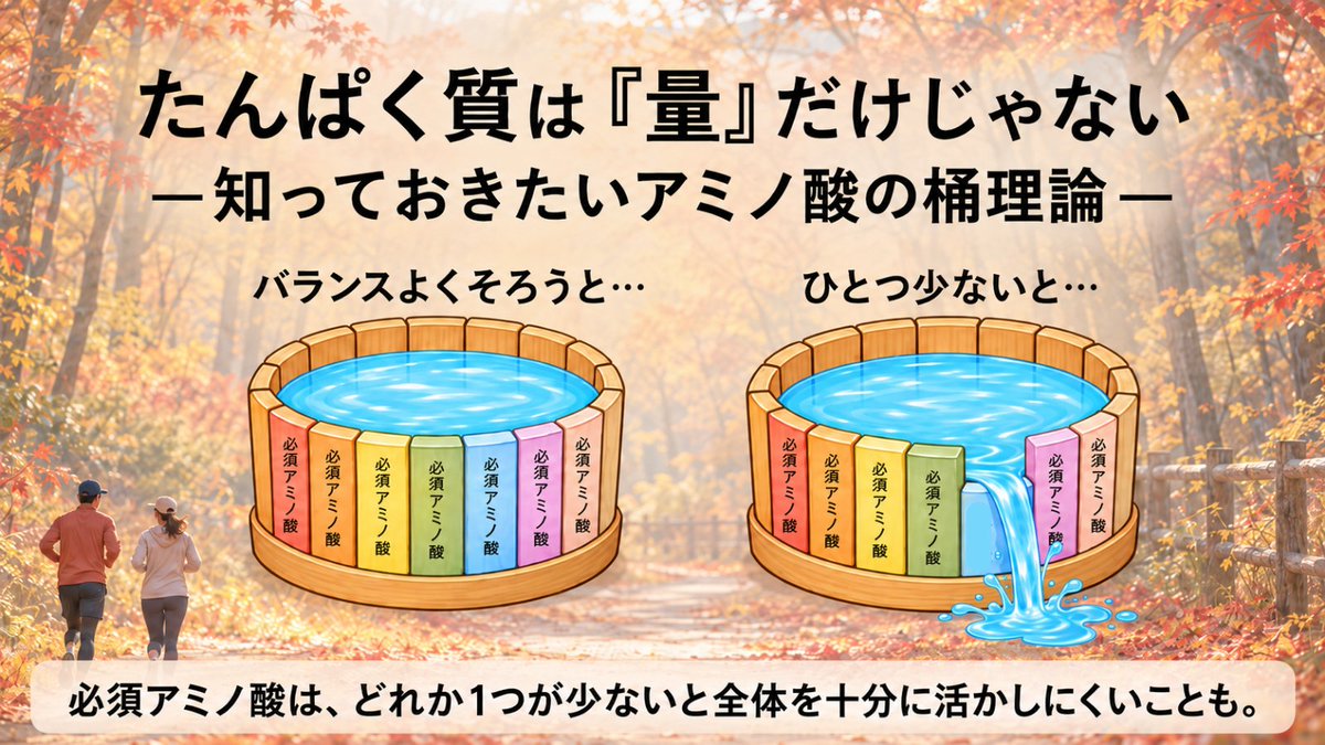 nanairo_saien's tweet photo. スポーツの秋🏃
たんぱく質、量だけ見ていませんか？

食事から摂ったたんぱく質は、体の中でアミノ酸に分解されます。

必須アミノ酸は、どれか1つが少ないと全体を十分に活かしにくいことも。
これが「アミノ酸の桶理論」🪣

肉・魚・卵・大豆など、いろいろな食品を組み合わせることも大切です。 https://t.co/5aIhfdQsnN