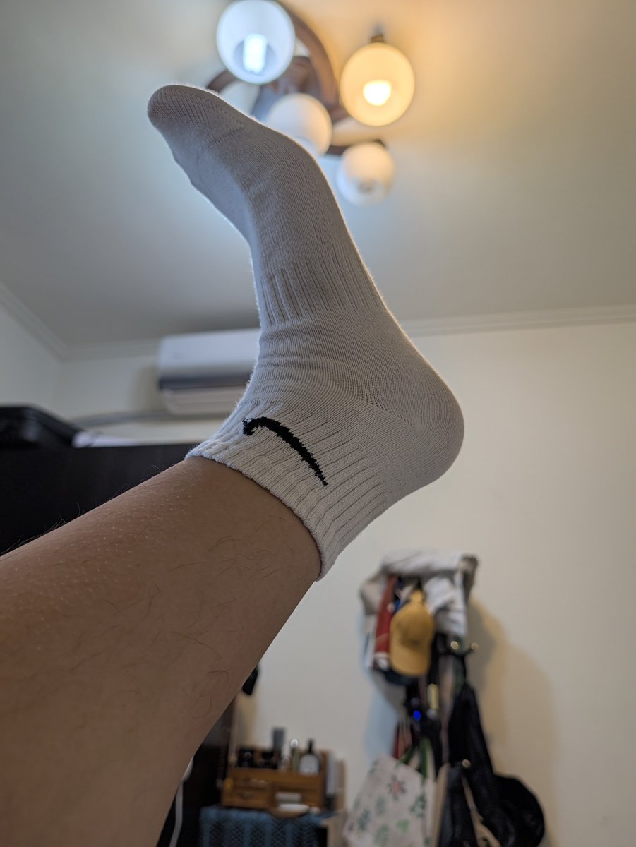 morigari0303's tweet photo. 小森最近性慾極低，不知道是不是因為進入減脂期幾個禮拜了。
中秋節好想出去大口吃肉大口喝酒噢~

圖文無關。主人說要穿著襪子到週末再做任務，但小森不喜歡一直穿著襪子嗷嗚🥲 https://t.co/mTlbwjuD32