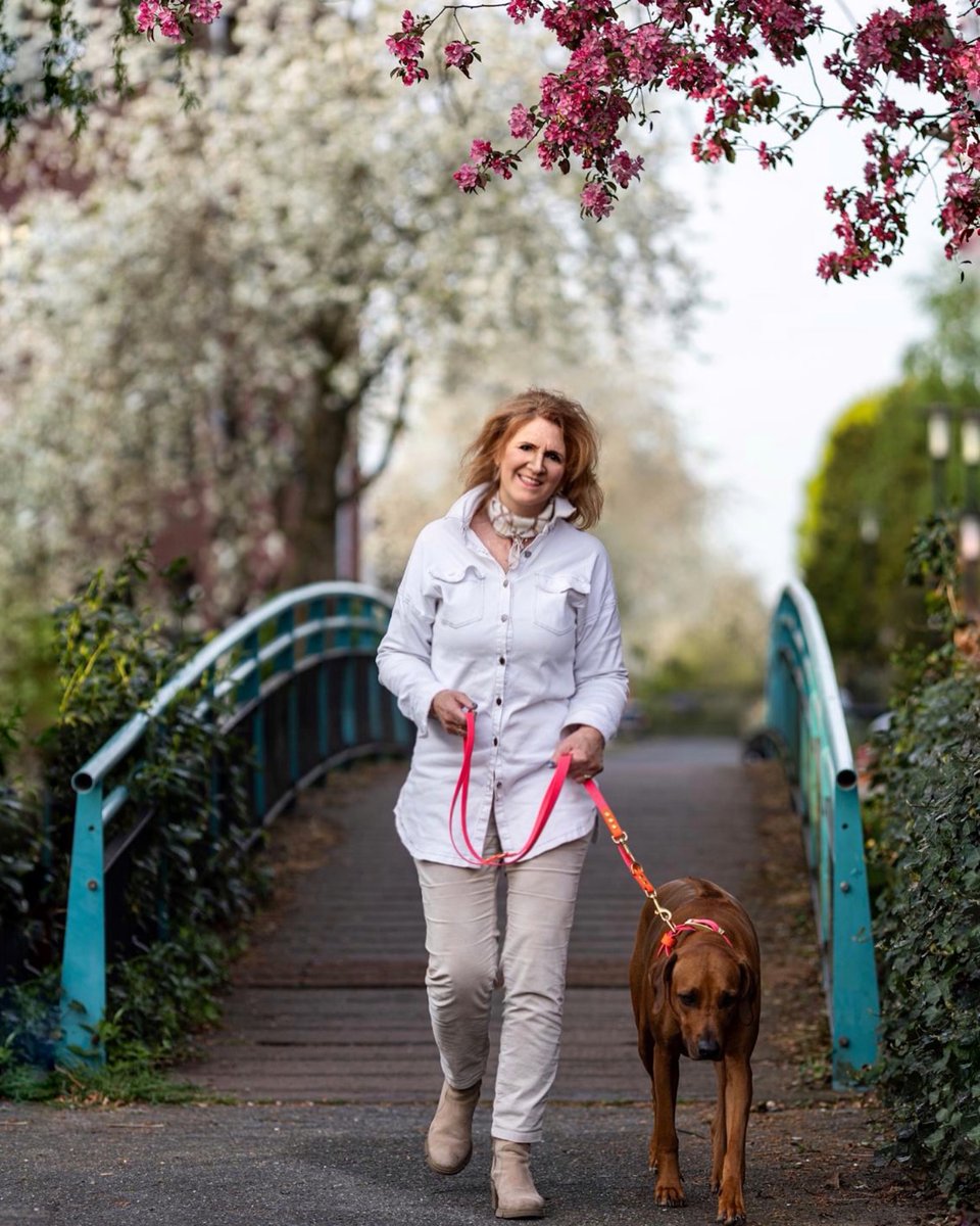 Alessandra4ly's tweet photo. Easter Saturday: Mom is ready for the weekend, while I’m deep in thought about where the Easter Bunny will hide my eggs and treats. Happy Holy Saturday! Thank you, Marieke, for this lovely blossom-street photo. https://t.co/MCAhMOy16P