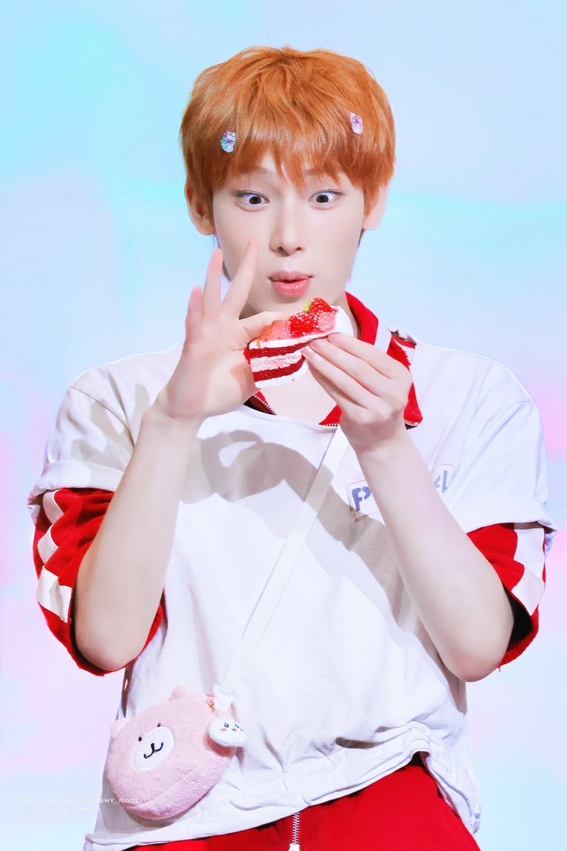 sunswelove's tweet photo. 꿈빛 파티시엘 떠누 ˃̵͈̑ᴗ˂̵͈̑🍓 https://t.co/sZwiB1Lu4B